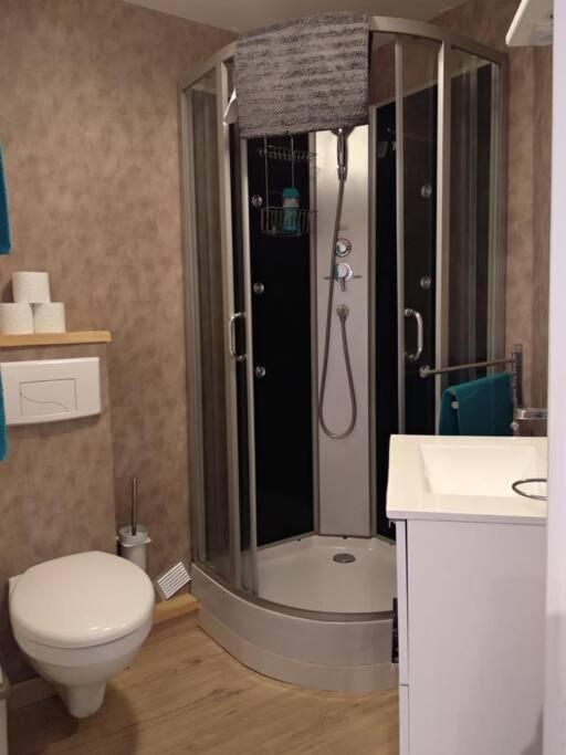 Appartement Centre Ville Rose Toulouse Exterior foto
